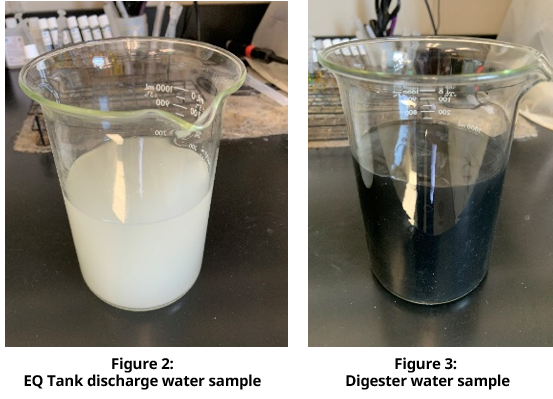 Figure 2 and Figure 3